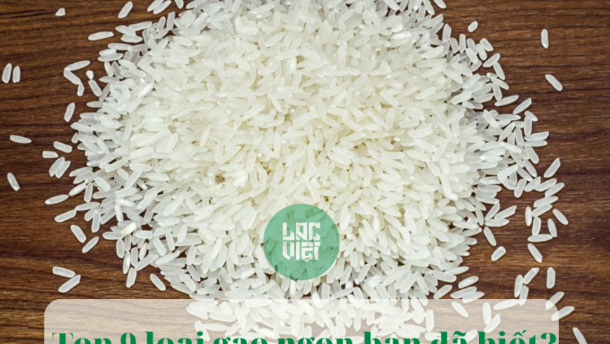 Top 9 loại gạo ngon được người dân ưa chuộng nhất Việt Nam